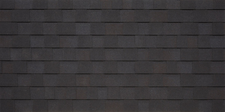 MASTER ardesia nera 461